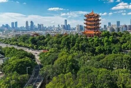 91麻豆无毒不卡-互联网净化的微观视角，网络内容健康性的多维考量