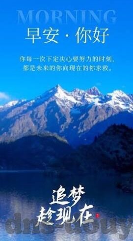 大象视频看黄网站-探索网络世界的边界，大象视频与合法网络内容的重要性