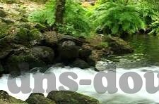 国产av麻豆久久-深入探讨，国产AV行业中的麻豆文化与多元影响