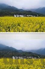 麻豆视频app官网-体验麻豆视频app官网，一站式优质内容服务平台