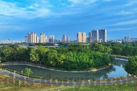 麻豆影视文化传媒app-探索多元娱乐新视角，麻豆影视文化传媒APP的数字时代魅力