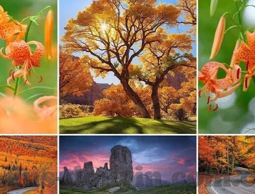 日韩av无码一区二区-日韩AV文化现象的多元视角与内容分类解析