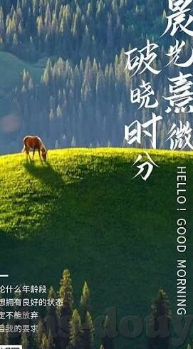 丝袜人妻一区二区三区-丝袜下的生活，都市女性的时尚与私密